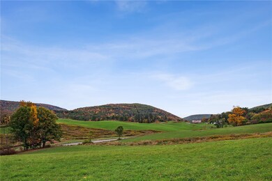 171 W Kill Rd, Jefferson, NY 12093 - photo 6