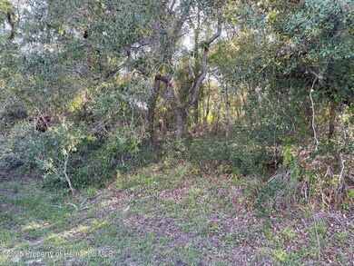 8217 Nightingale Rd, Weeki Wachee, FL 34613 - photo 3