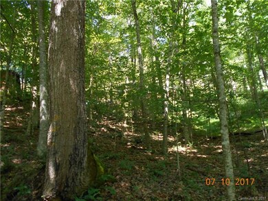 16 Dove Hill Rd, Burnsville, NC 28714 - photo 5