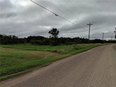 00 Seminary Rd, Edinburg, TX 78542 - photo 4