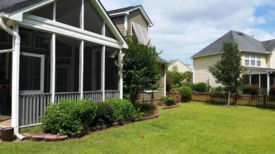 Backyard2