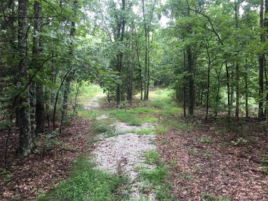 Gravel path/drive poured all the way to the back o