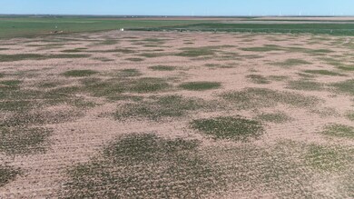 0 Cr Z, Kress, TX 79052 - photo 6