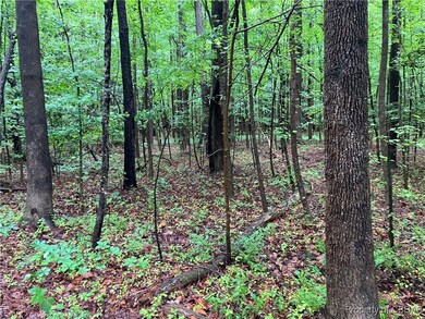 View of tree filled area