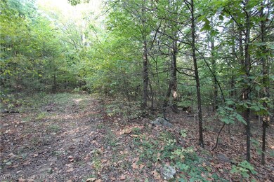 tbd Old 81 Loop, Rudy, AR 72952 - photo 6