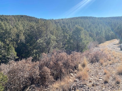 0 Ruby Dr, Timberon, NM 88350 - photo 2