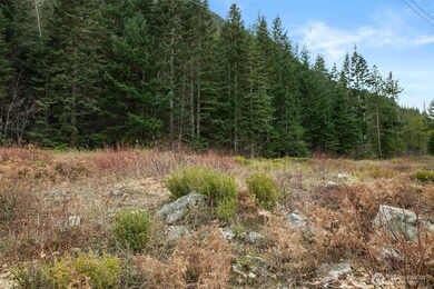 0 XXX 0, Leavenworth, WA 98826 - photo 5