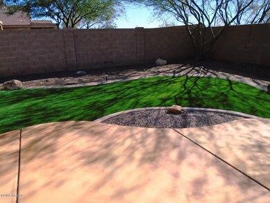 AZ15-001 1_24_15 backyard 3