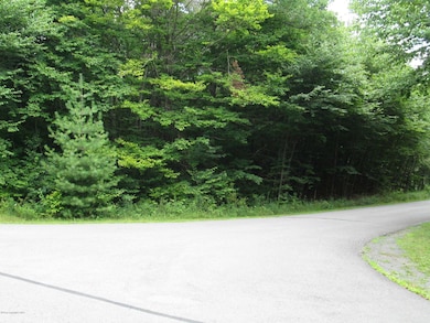 0 River Ct unit PM-62467, Pocono Lake, PA 18347 - photo 4