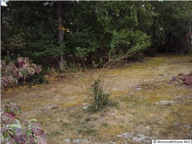 18 Maplewood Dr unit A, Whiting, NJ 08759 - photo 3