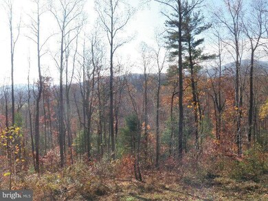 210 Middle River Fst Rd, Stanardsville, VA 22973 - photo 2