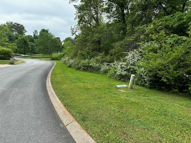 0 Dayflower Dr, Ooltewah, TN 37363 - photo 3