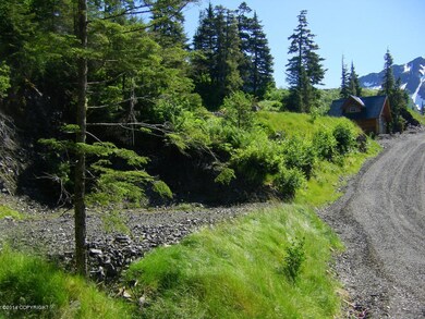 103 Cabin Ridge Rd, Cordova, AK 99574 - photo 4
