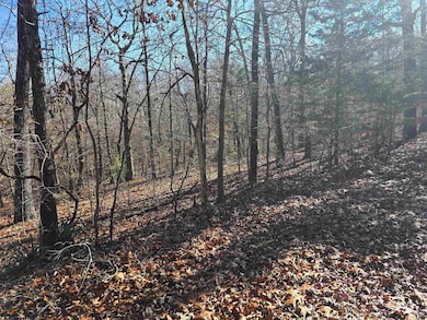 L11,B5 Wasatch Trail, Cherokee Village, AR 72529 - photo 4