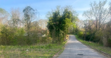 0 11th Ave S, Phenix City, AL 36869 - photo 3