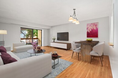 41 Centre St unit 203, Brookline, MA 02446 - photo 5