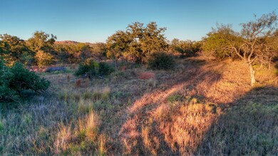 18248 Bode Peak Rd, Pontotoc, TX 76856 - photo 2