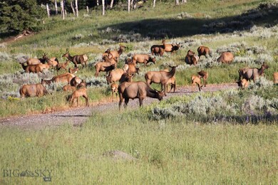 6519 Beaver Creek Rd, Big Sky, MT 59716 - photo 4