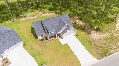 Aerial view home