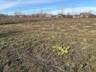 lot 1 Macey Rd, Willis, MI 48191 - photo 5