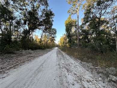 OOO SE 923rd St, Old Town, FL 32680 - photo 3