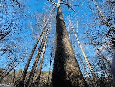 1190 James Adams Rd, Danielsville, GA 30633 - photo 6