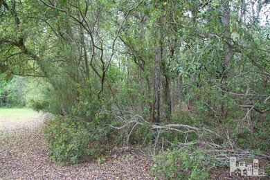 7315 Mason Landing Rd, Wilmington, NC 28411 - photo 4