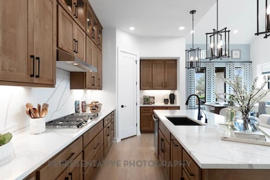 261 Menlo Bend, Santa Rita Ranch, TX 78628 - photo 6