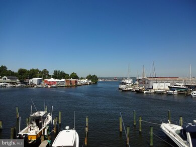 314 Cambridge Landing unit A, Cambridge, MD 21613 - photo 4