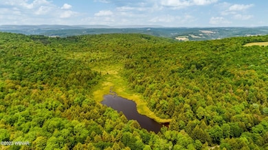 large-b209aeee-bae9-42aa-8c1a-c862a25d38