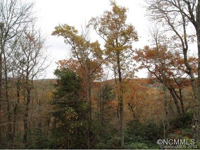Fall view
