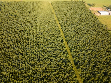 1 Edgerly Rd, Dequincy, LA 70633 - photo 2