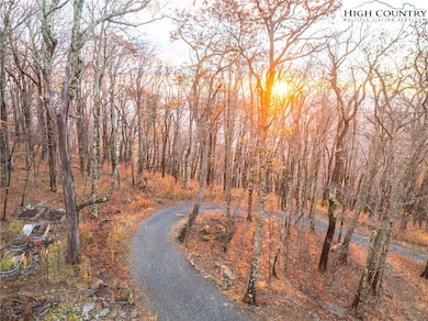 1390 Ransey Woodring Rd, Todd, NC 28684 - photo 6