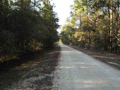 xx Roland Harvey Rd, Crawfordville, FL 32327 - photo 4