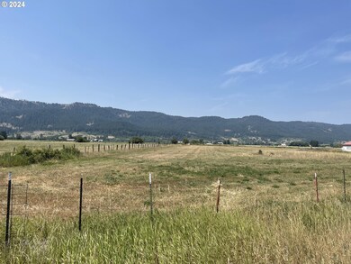 0 Cornucopia Hwy, Halfway, OR 97834 - photo 2