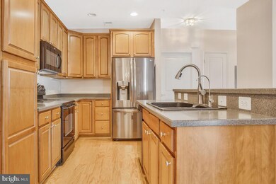 1523 Enyart Way unit 203, Annapolis, MD 21409 - photo 4