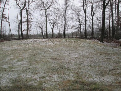 232 Ash Ln, Kunkletown, PA 18058 - photo 5