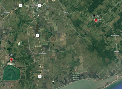 0 Fm 521 Rd, Cedar Lane, TX 77415 - photo 5