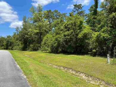 120 Sellars Dr, Crawfordville, FL 32327 - photo 2