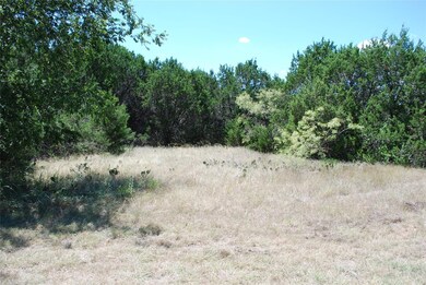 29021 Whisperwood Dr & Radde Rd, Whitney, TX 76692 - photo 6