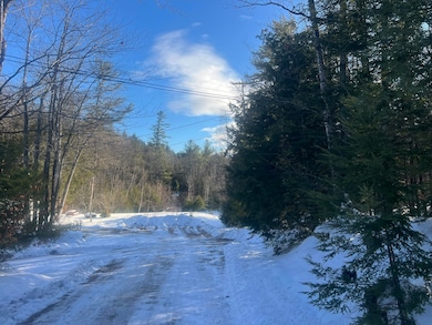 TBD Sodom Rd, Norway, ME 04268 - photo 6