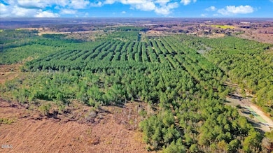 2310 Devils Racetrack Rd, Four Oaks, NC 27524 - photo 4