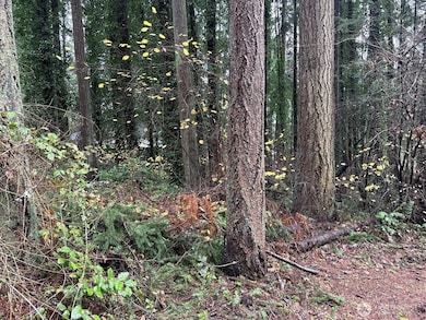 6493 20th Ave SE, Lacey, WA 98503 - photo 4