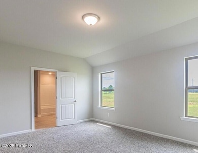 136 Romain Picard Dr, Maurice, LA 70555 - photo 4