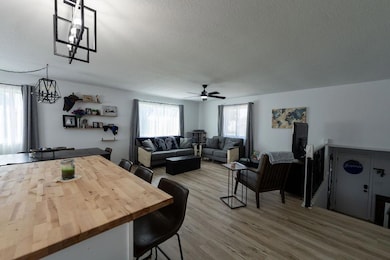 131 Circle Dr, Saint Charles, MN 55972 - photo 4