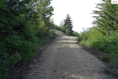Private roadway into your new home site.