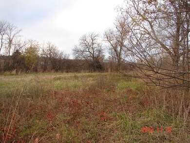 0 E South St, Jerico Springs, MO 64756 - photo 5