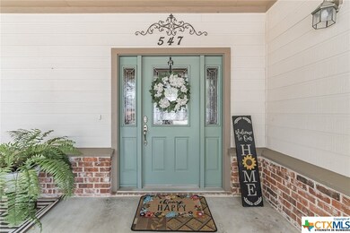 547 Jo Lynn, New Braunfels, TX 78130 - photo 5