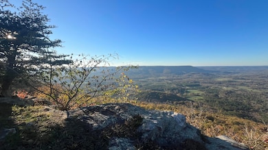 0 Tatum Gulf Rd unit 1524943, Menlo, GA 30731 - photo 4