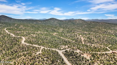 6-Aerial (3)
